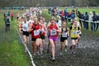 Senior and under-23 women